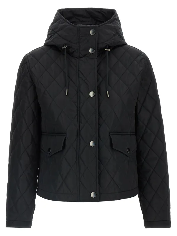 Pembroke Puffer Jackets Black sold by Wanan Luxury