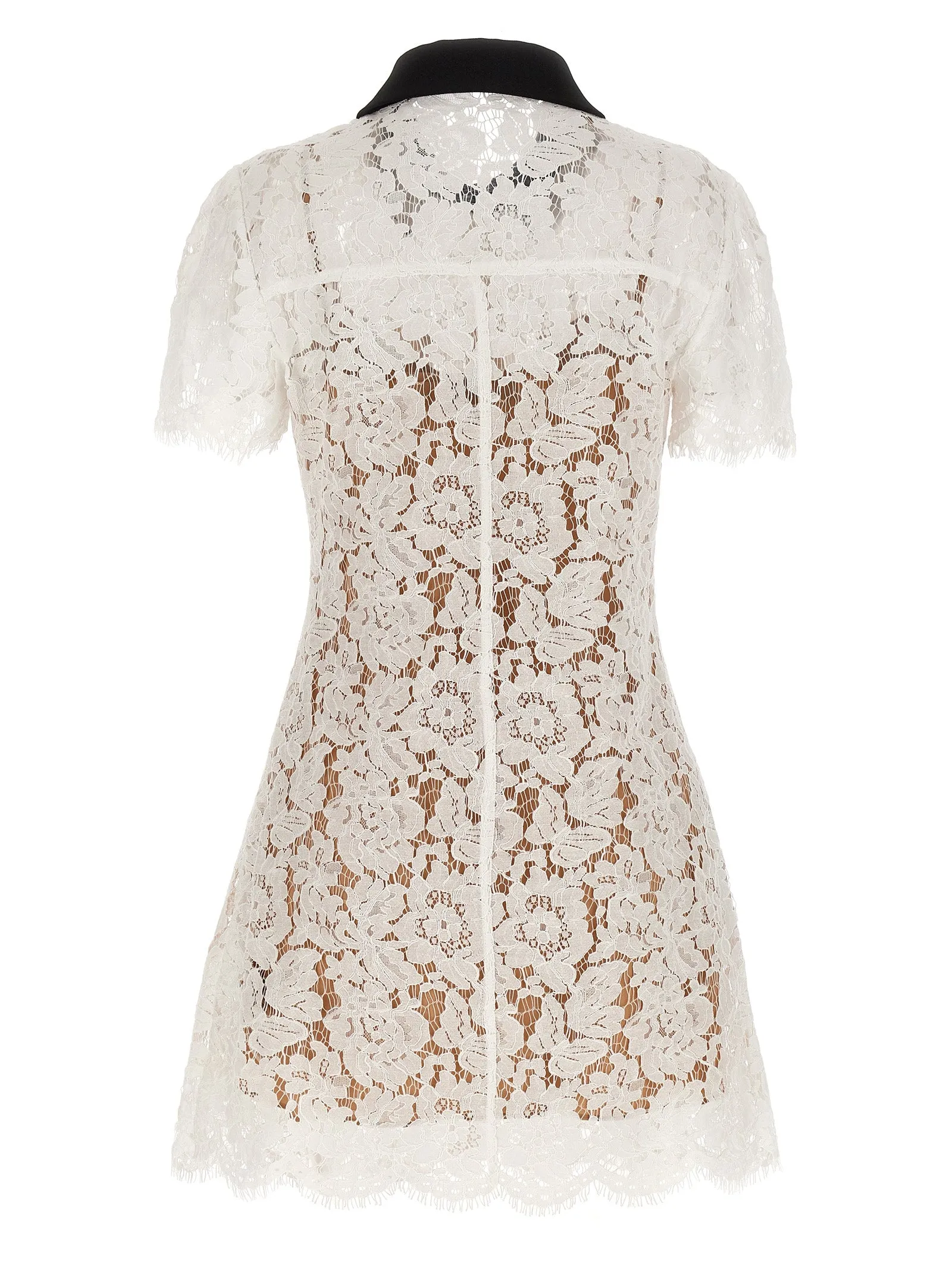 White Lace Contrast Collar Mini Dresses White sold by Wanan Luxury product image thumbnail 2