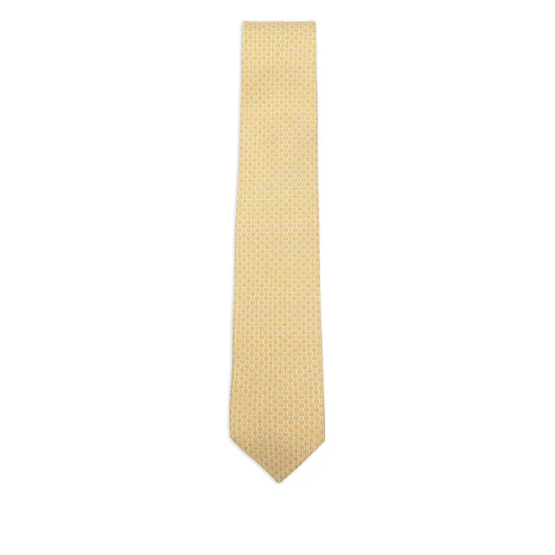 Ties Yellow made by Salvatore Ferragamo
