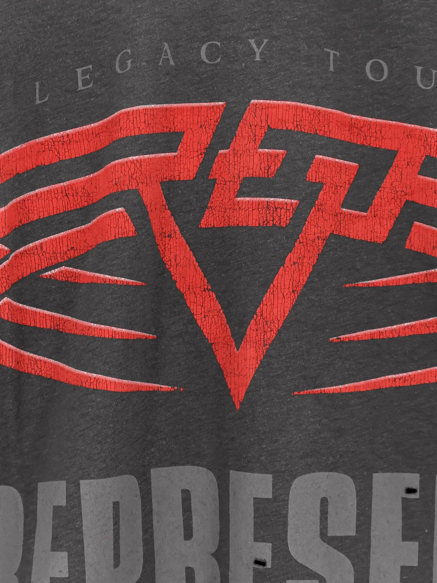 Living Legacy Reversible Organic Cotton And Hemp T-Shirt sold by Wanan Luxury product image thumbnail 3