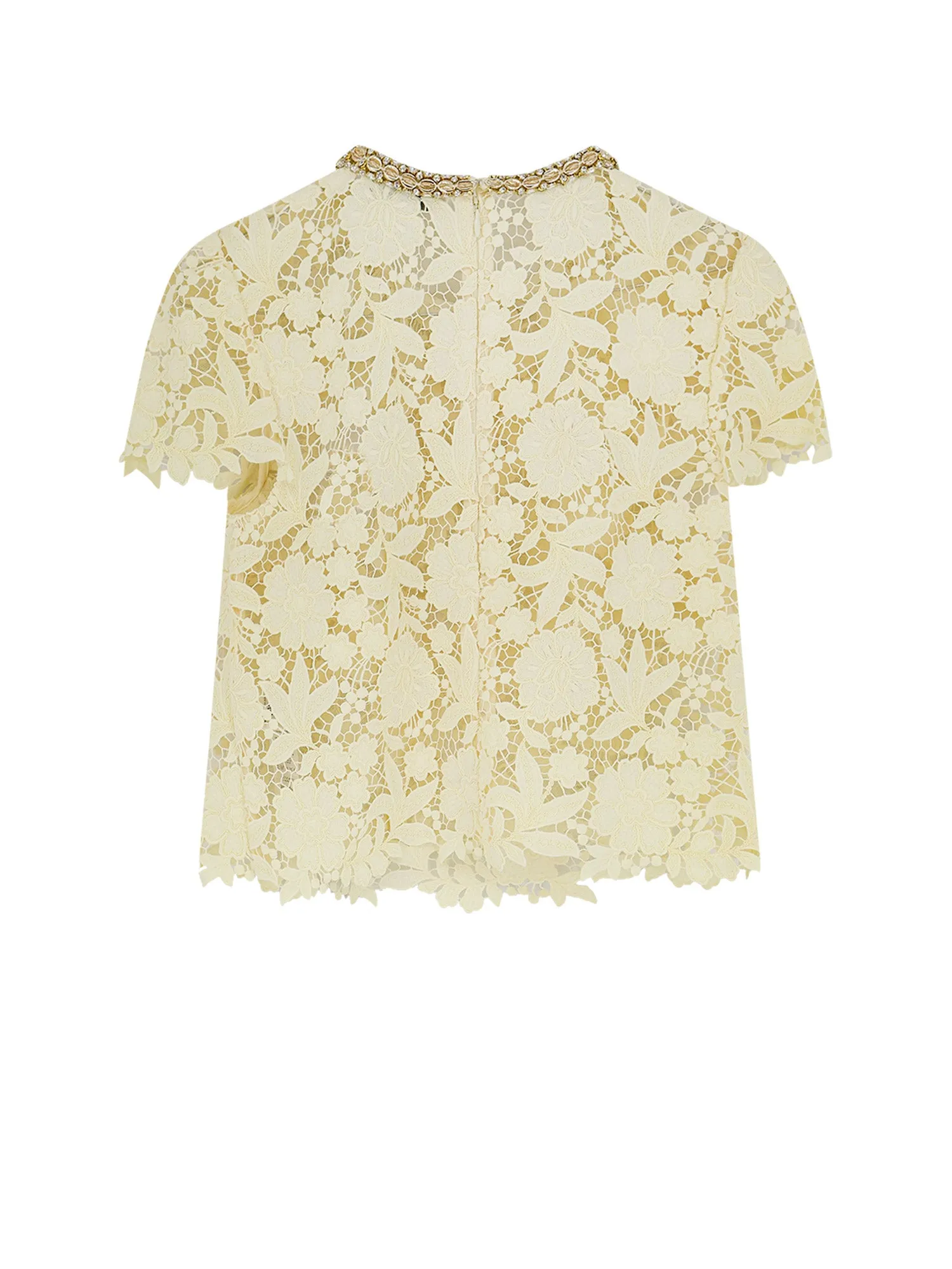T-Shirts And Polos Bright sold by Wanan Luxury product image thumbnail 2
