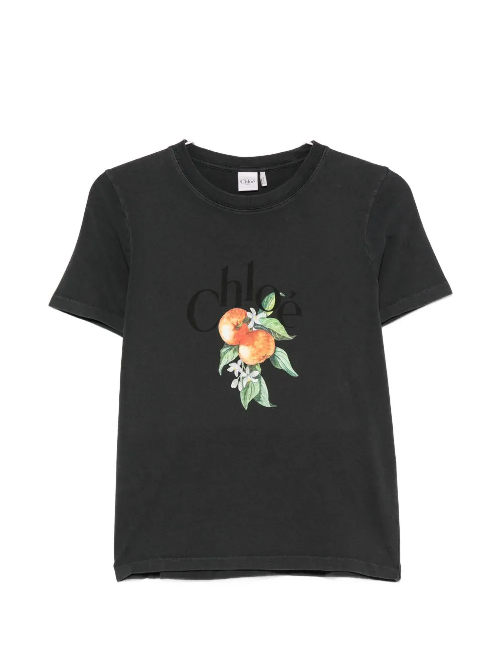 Printed Cotton T-Shirt sold by Wanan Luxury