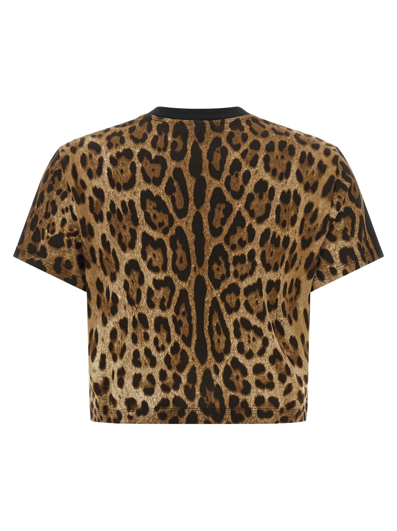 Leo T-Shirt Brown sold by Wanan Luxury product image thumbnail 2