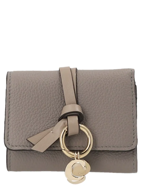 Mini Tri Fold Wallets And Card Holders Gray made by Chloe