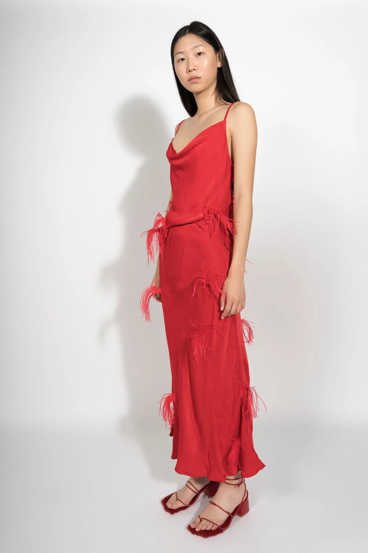 RED MIDI SKIRT WITH FEATHERS sold by Marques ’ Almeida product image thumbnail 4