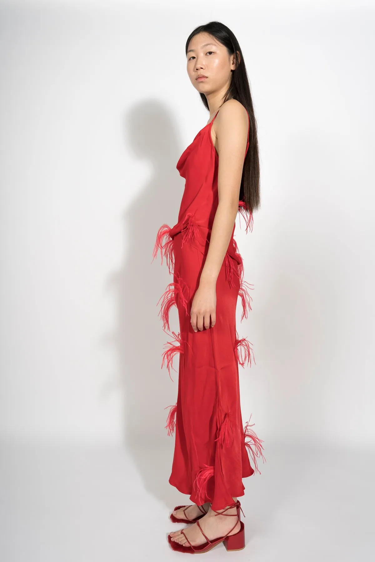 RED MIDI SKIRT WITH FEATHERS sold by Marques ’ Almeida product image thumbnail 5