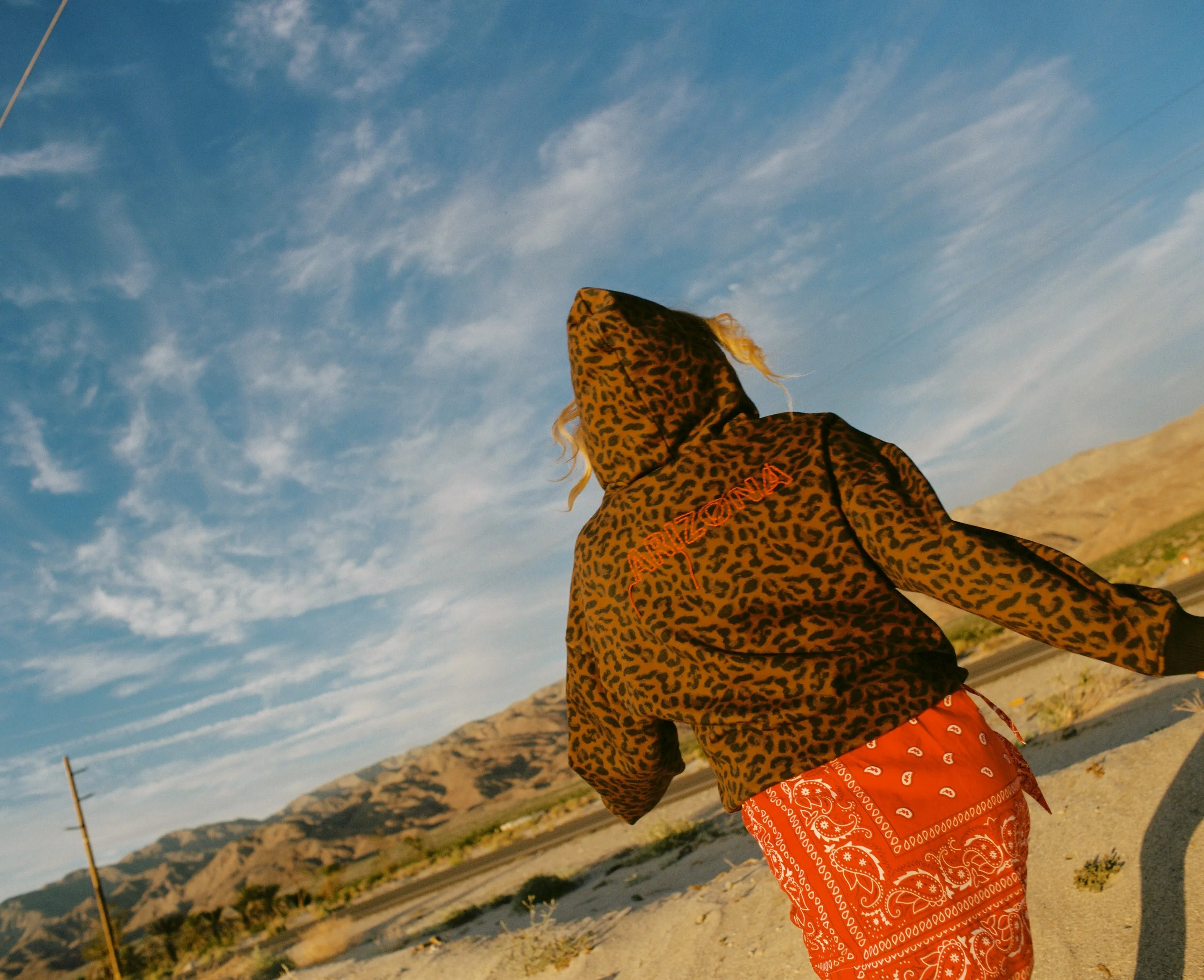 Léopard sweat sold by Arizona Love product image thumbnail 5