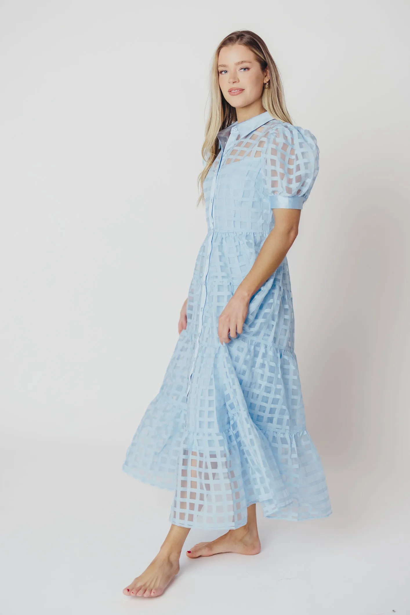 Maude Organza Tiered Maxi Dress with Grid Pattern in Powder Blue sold by Worth Collective product image thumbnail 3