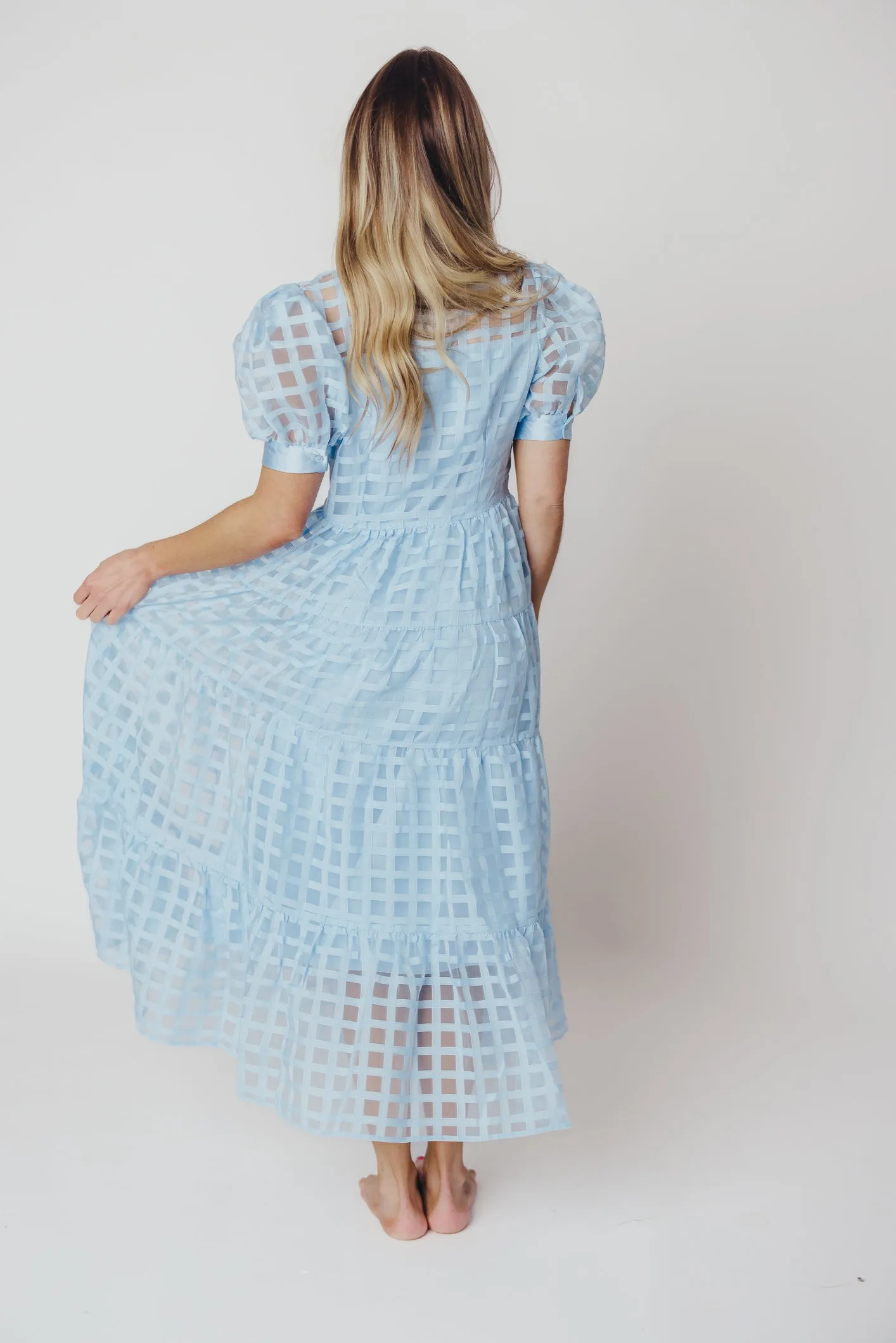 Maude Organza Tiered Maxi Dress with Grid Pattern in Powder Blue sold by Worth Collective product image thumbnail 5