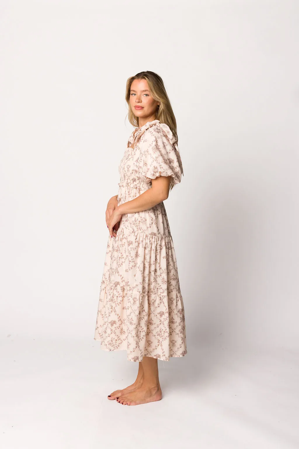 Elena Toile Print Smocked Midi Dress in Mocha sold by Worth Collective product image thumbnail 3