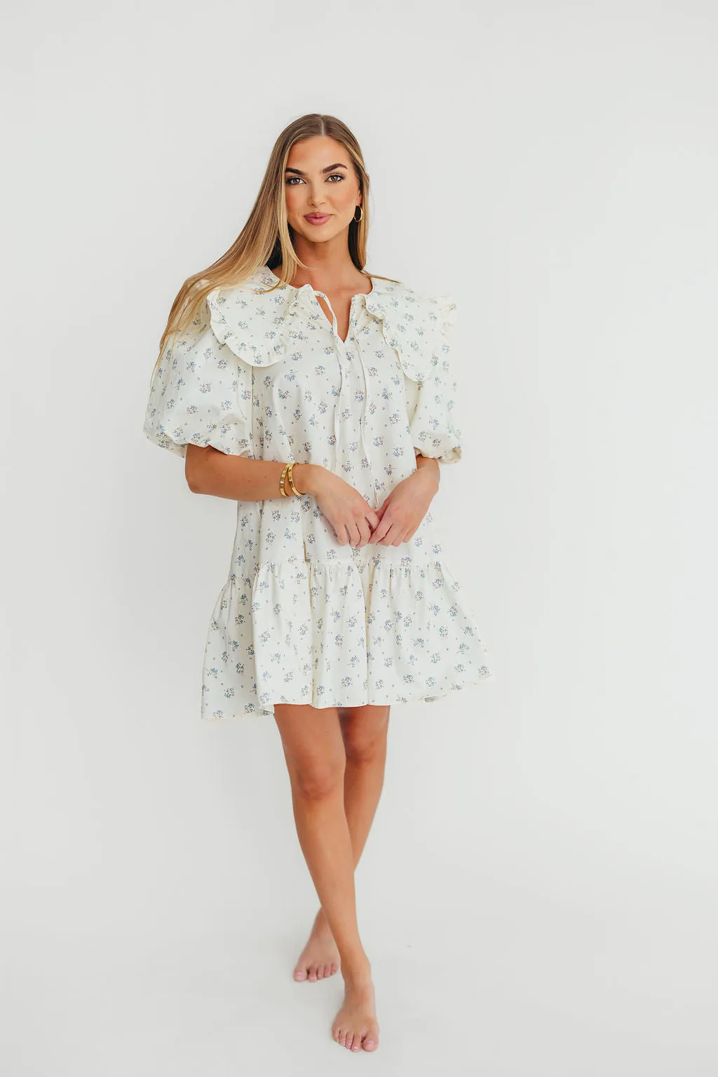 Cecile Denim Mini Dress with Collar in Natural/Blue Floral sold by Worth Collective product image thumbnail 3
