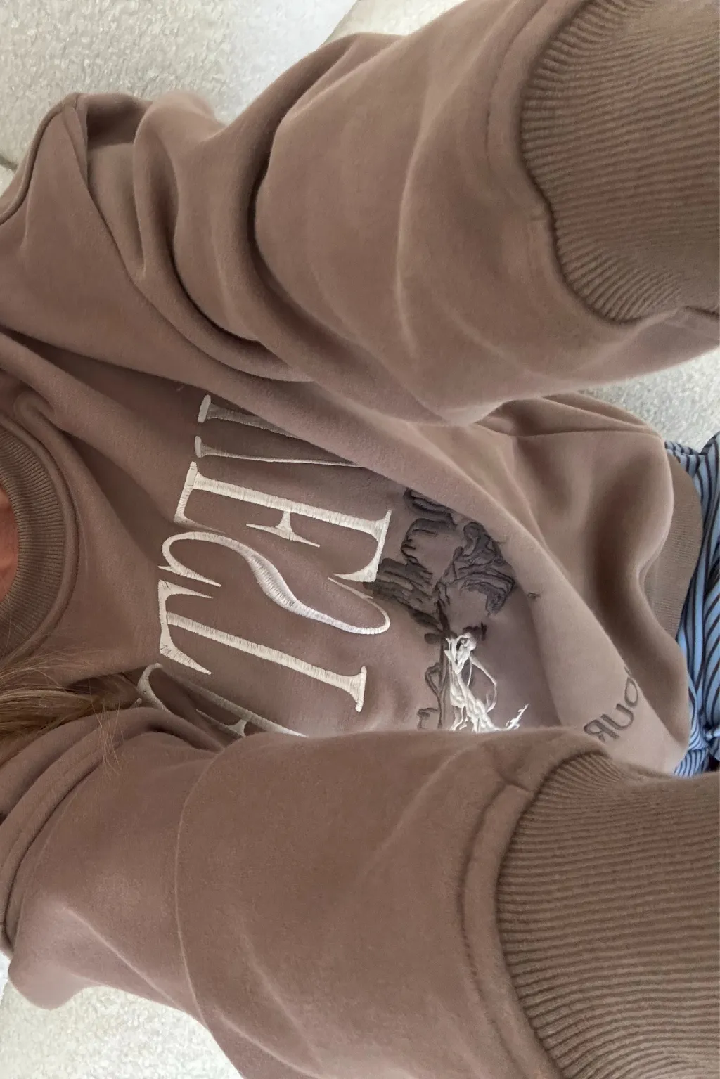 Walker Embroidered Crew Neck Sweatshirt in Mocha sold by Worth Collective product image thumbnail 5