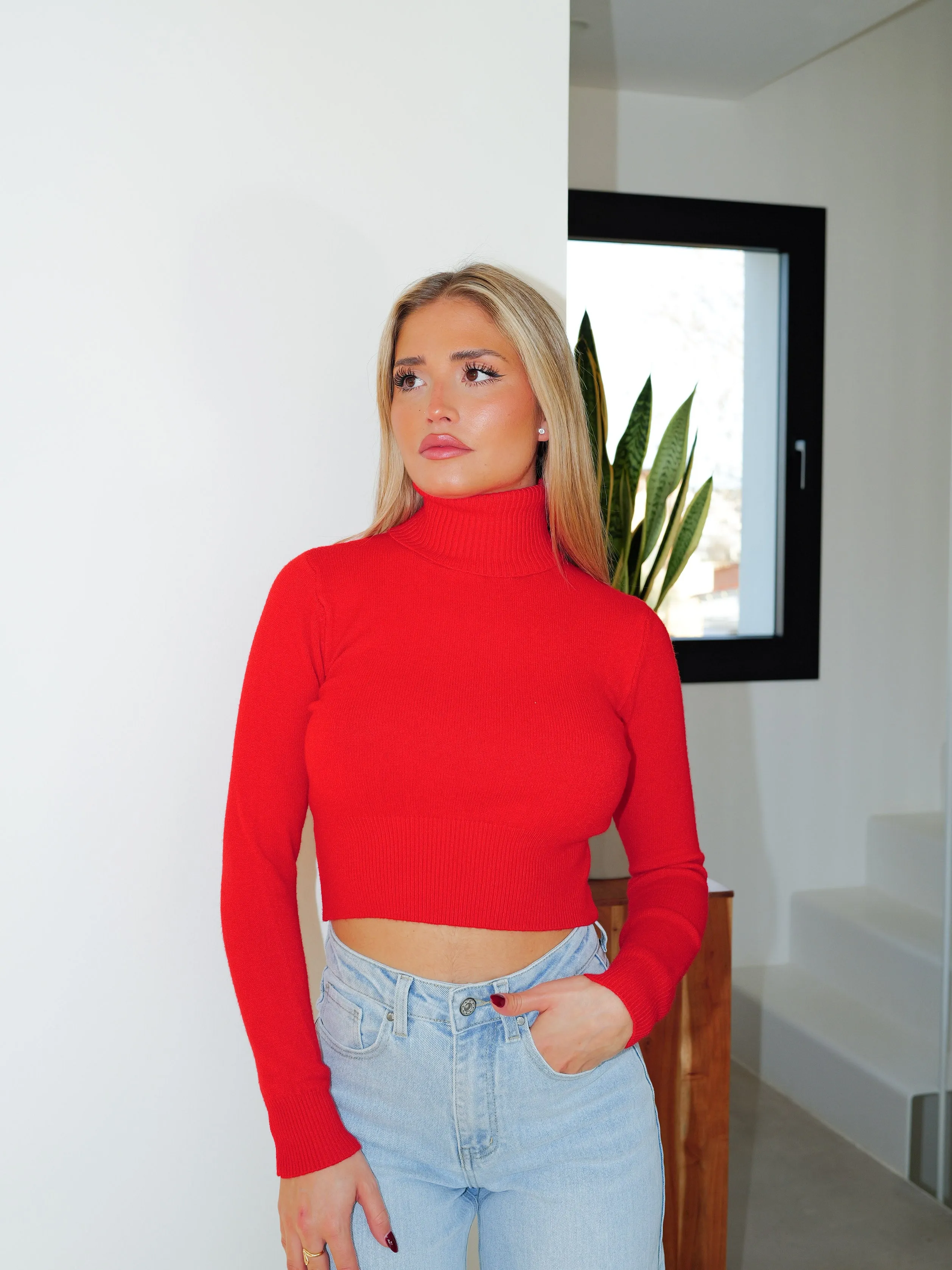 Jersey crop cuello alto rojo sold by Sorellas product image thumbnail 5