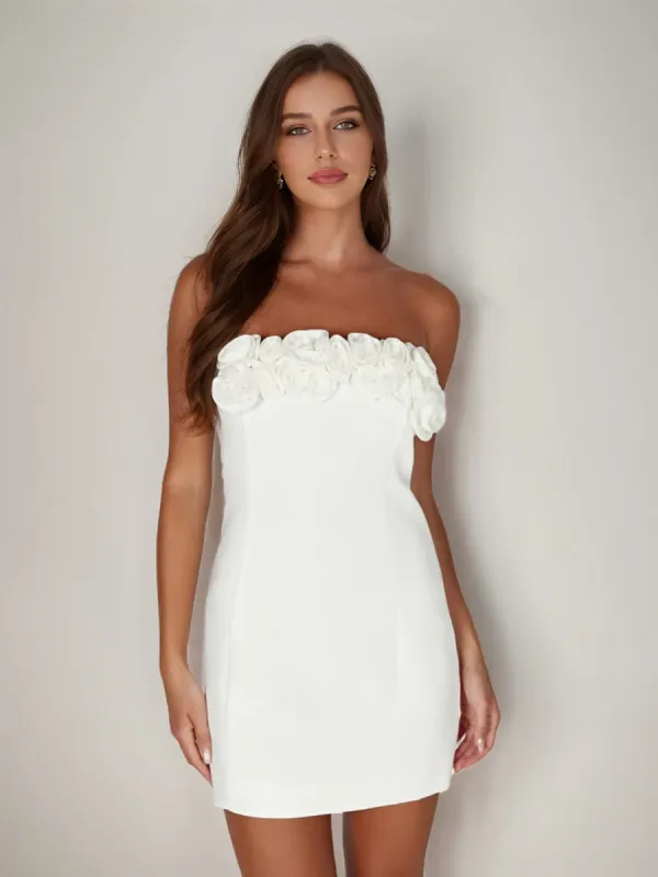 Sheath/Column Strapless Rose Mini Dresses Short Homecoming Dresses sold by Lavetir
