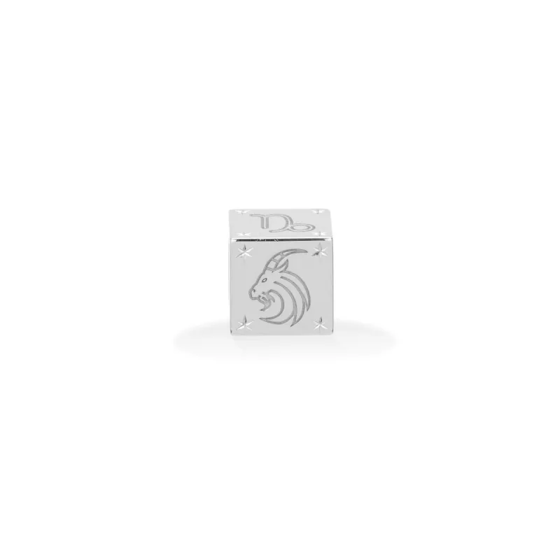 Zodiac Capricorn Block Big Bead in Sterling Silver sold by Adina Reyter