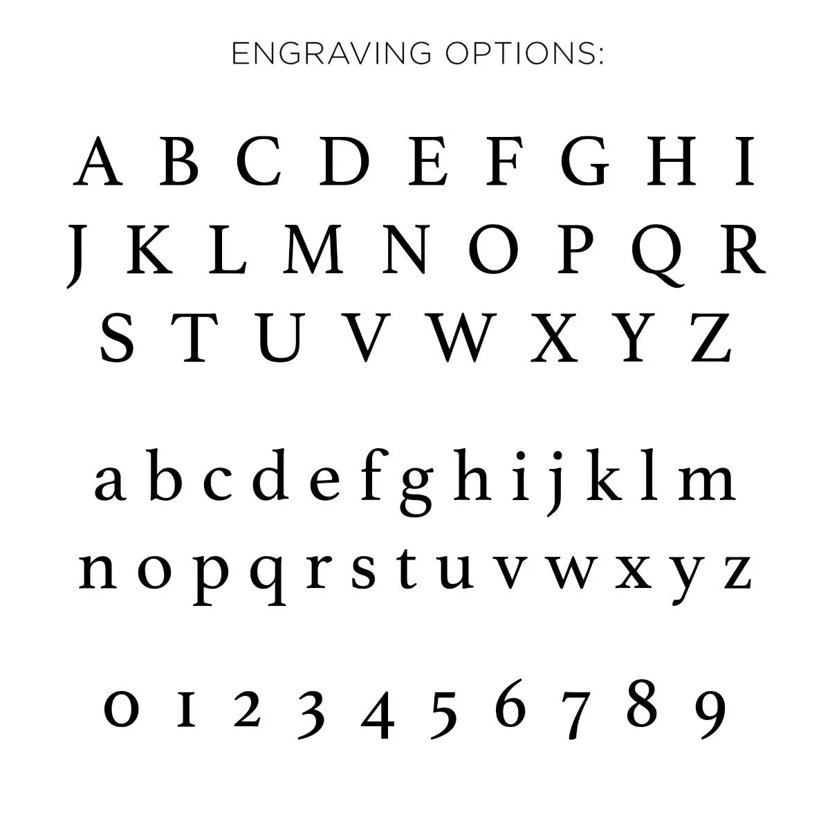 Pavé Diamond English Bulldog Signet Ring sold by Adina Reyter product image thumbnail 4