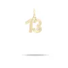 Groovy Diamond Number 13 Hinged Charm sold by Adina Reyter