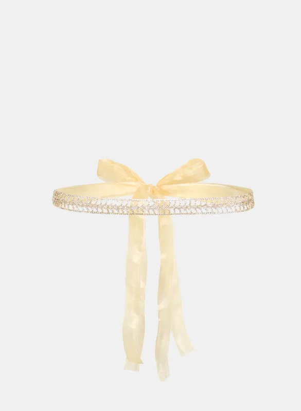 Crystal Front Organza Belt sold by Melanie Lyne