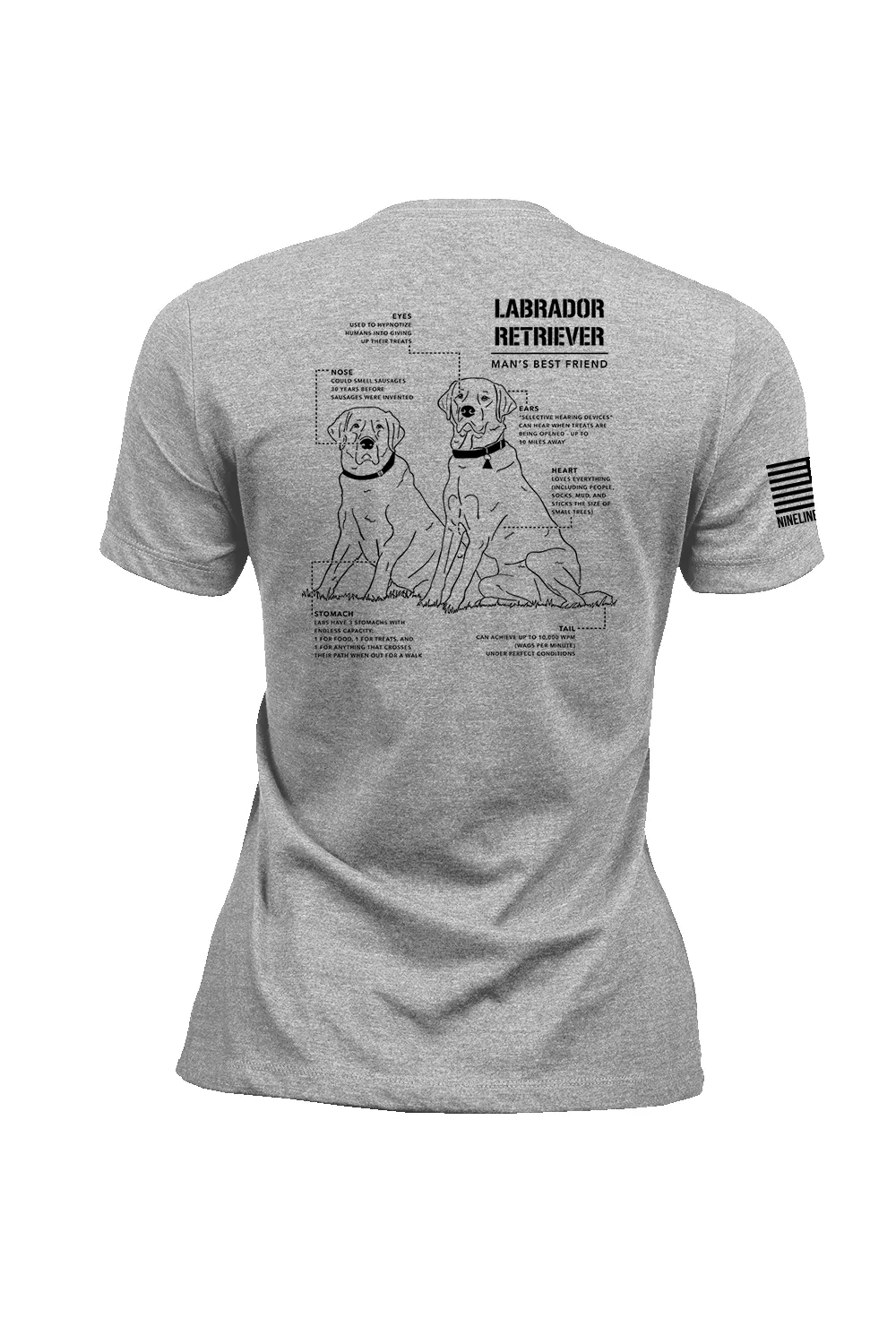 Labrador Schematic - Women's T-Shirt sold by Nine Line product image thumbnail 3