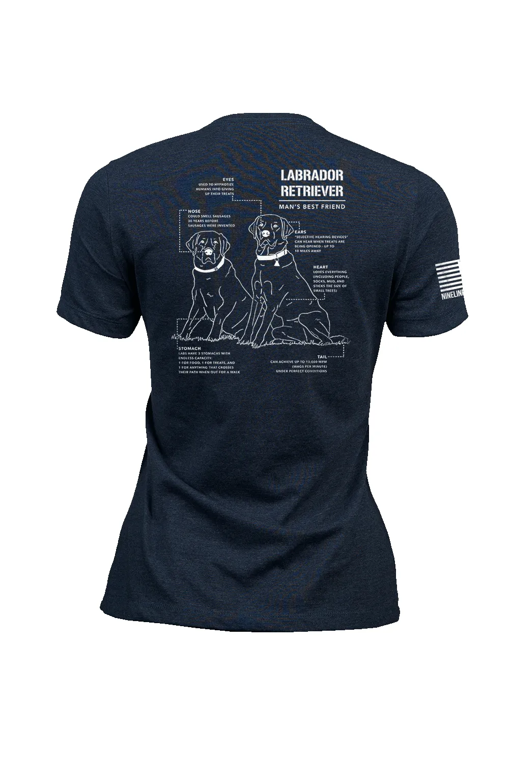Labrador Schematic - Women's T-Shirt sold by Nine Line product image thumbnail 5