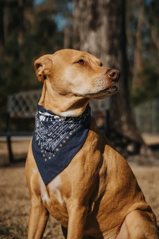 Presidential Pups Bandana — Made in the USA sold by Nine Line