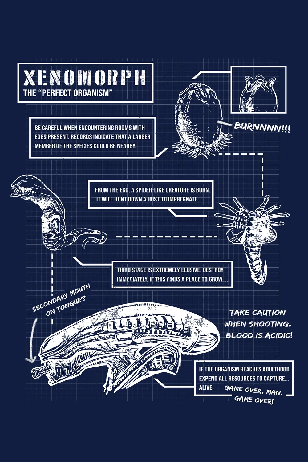 Xeno Schematic- Hoodie sold by Nine Line product image thumbnail 5
