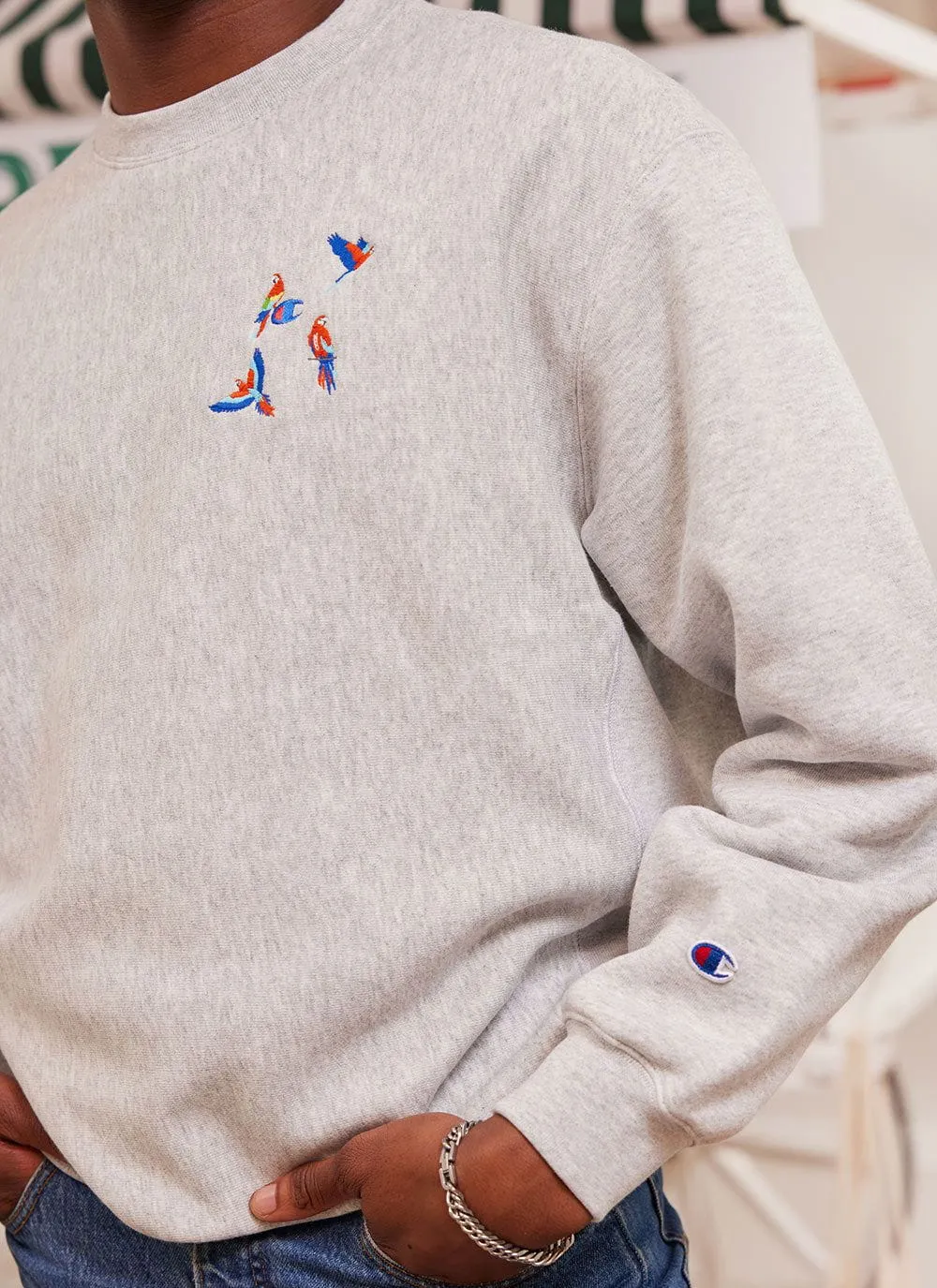 The Menagerie Sweatshirt | Champion and Percival | Heather Grey sold by Percival product image thumbnail 2