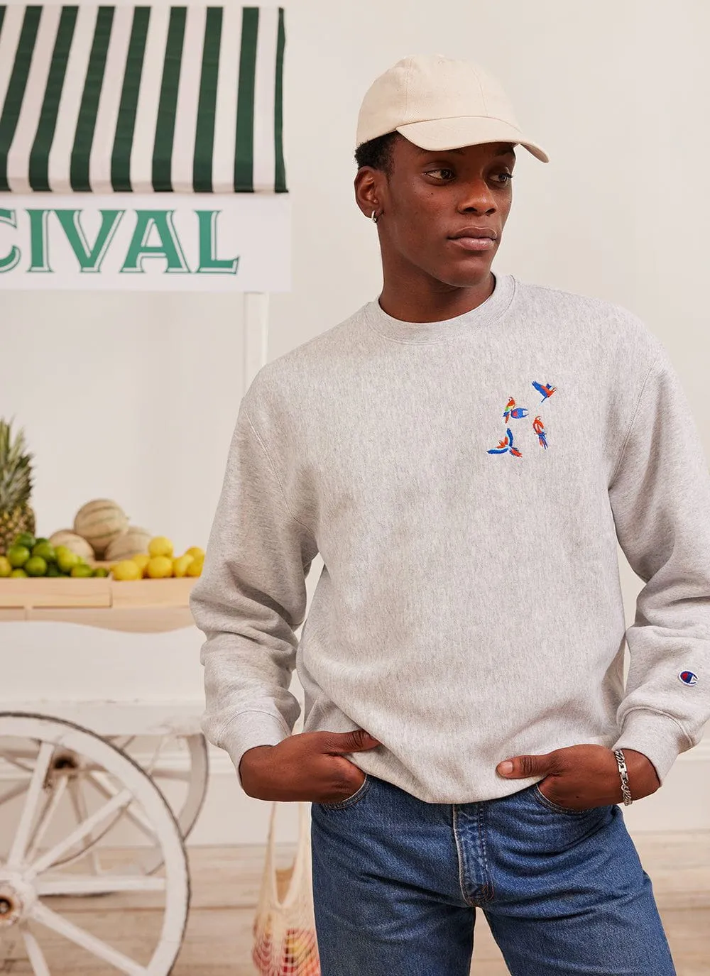 The Menagerie Sweatshirt | Champion and Percival | Heather Grey sold by Percival