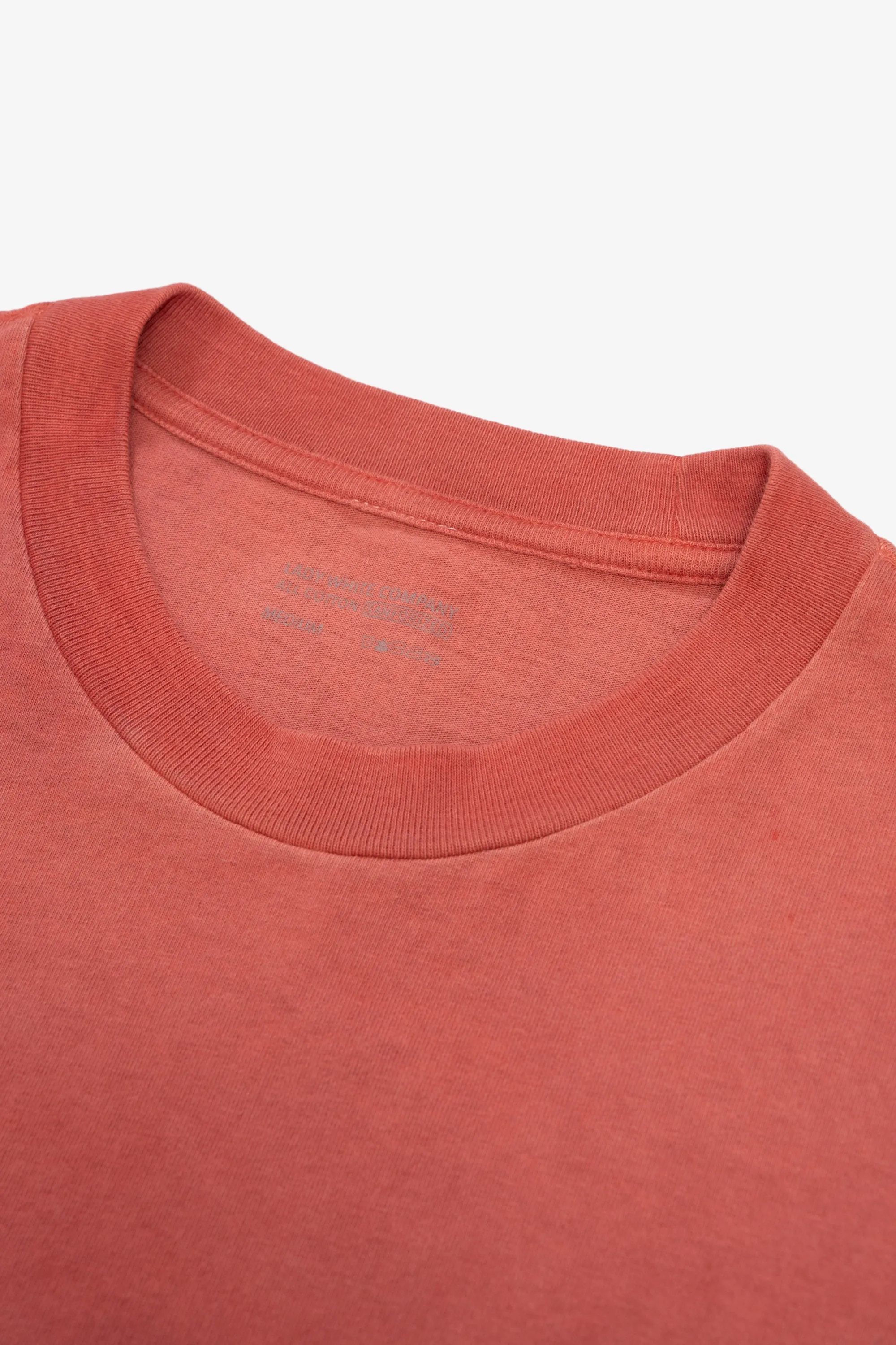 MUNICIPAL T-SHIRT - MADDER ROOT sold by Lady White Co. product image thumbnail 3