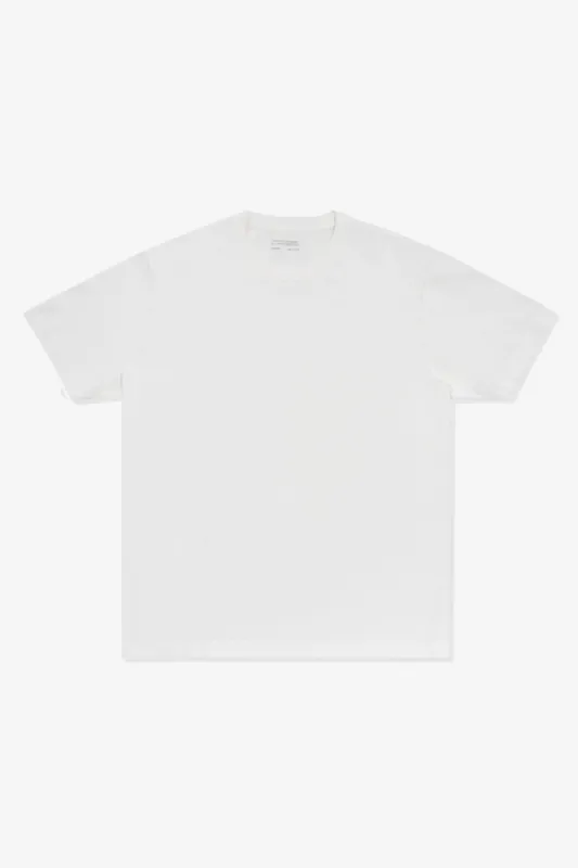 MUNICIPAL T-SHIRT - WHITE sold by Lady White Co.