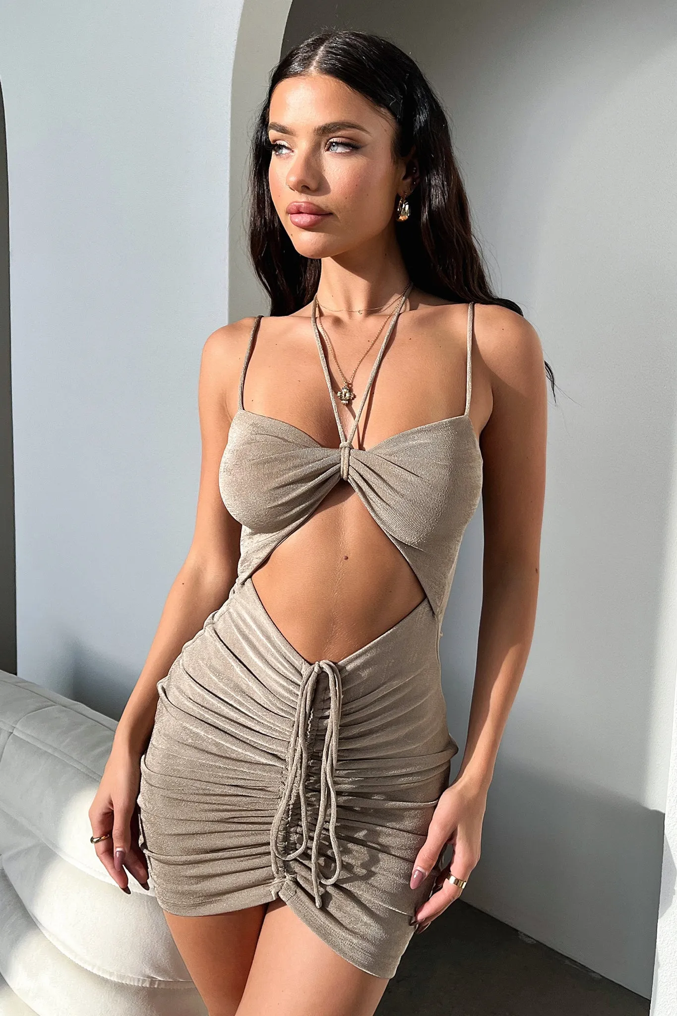 Billie Dress - Dusty Brown sold by Thats So Fetch product image thumbnail 3