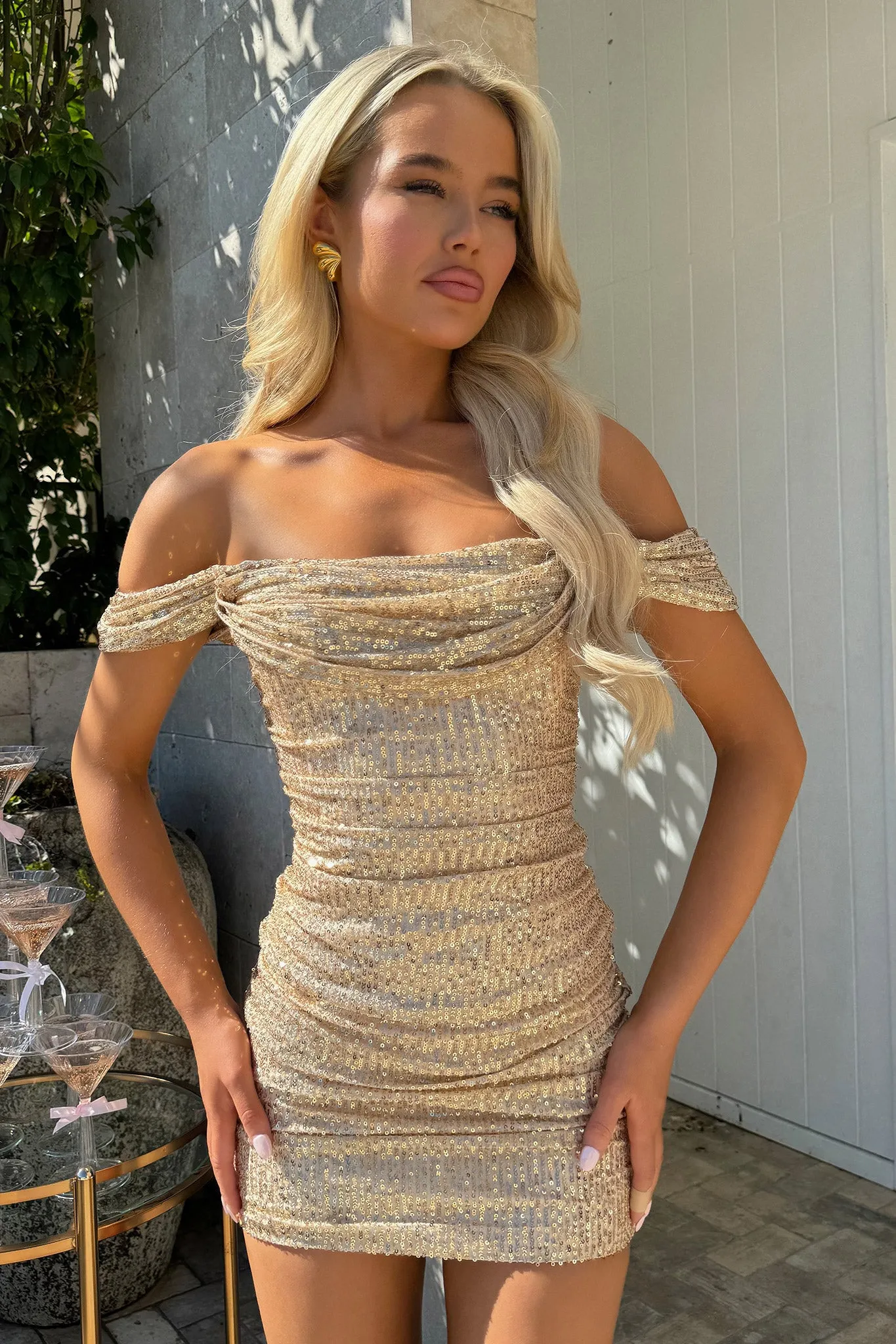 Nara Dress - Champagne sold by Thats So Fetch product image thumbnail 5