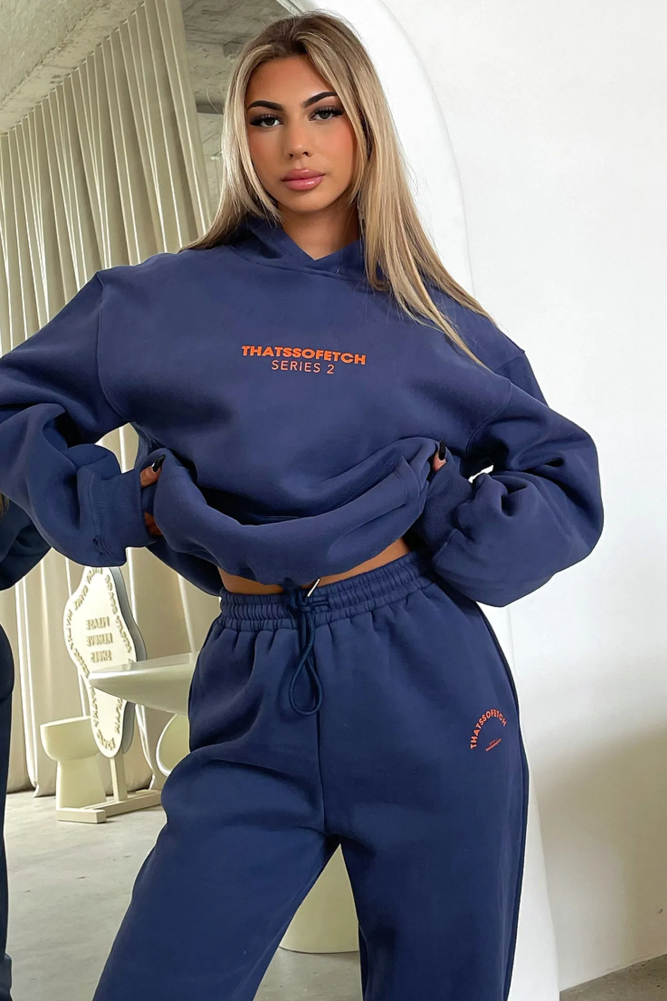 Series 2 Hoodie - Navy sold by Thats So Fetch product image thumbnail 3