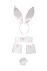 5 Piece Bunny Accessory Kit - Pink sold by Thats So Fetch