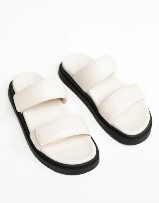 Pivot Slides (Bone) - By Therapy made by therapy