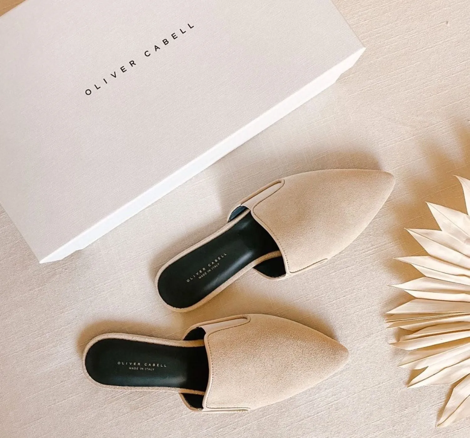 Dream Mule | Light sold by Oliver Cabell product image thumbnail 4