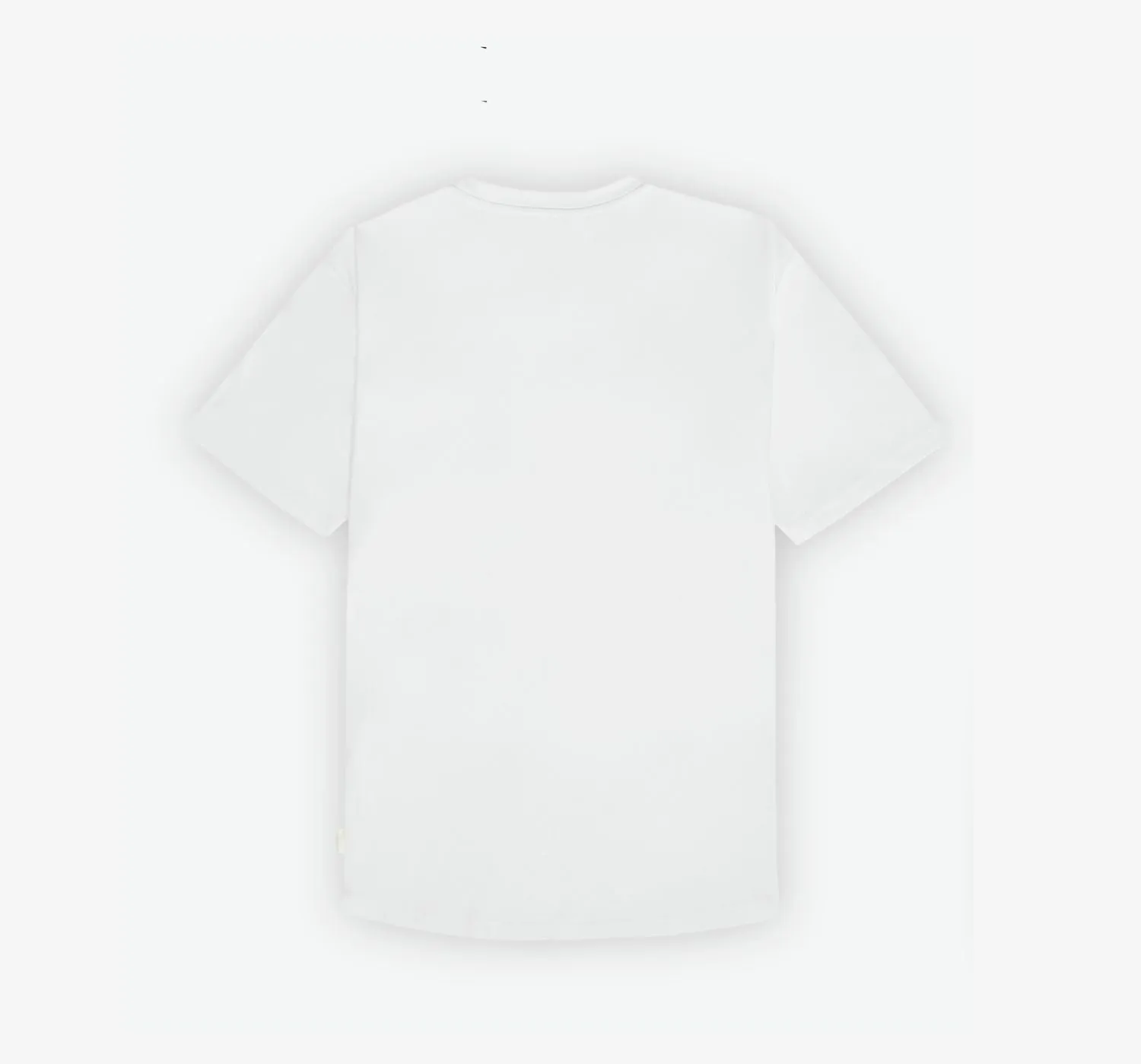 Curved Hem Tee | White sold by Oliver Cabell product image thumbnail 2