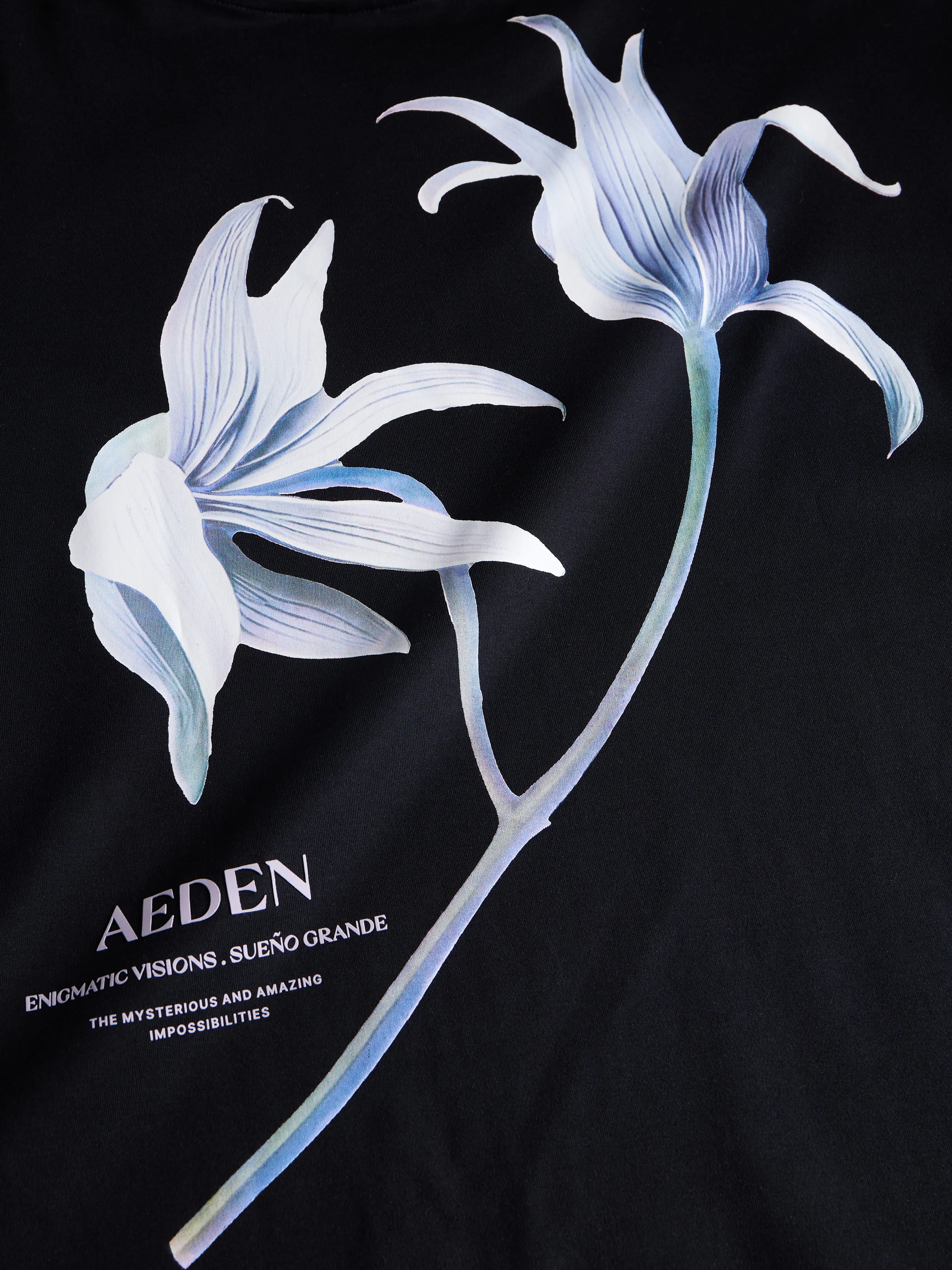 Misty Tee | Black sold by Aeden Official product image thumbnail 2