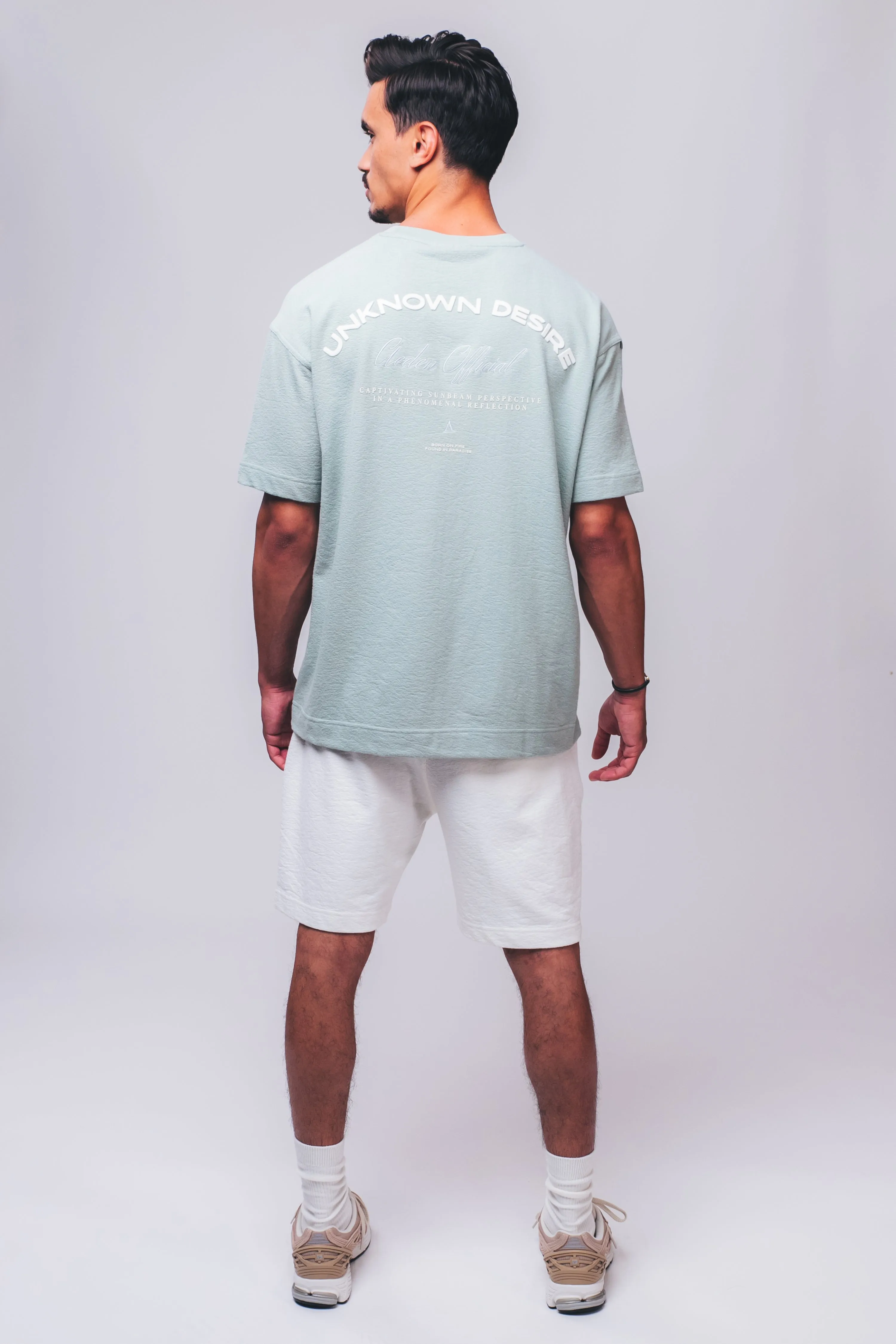 Rushy Tee | Sea Foam sold by Aeden Official product image thumbnail 5
