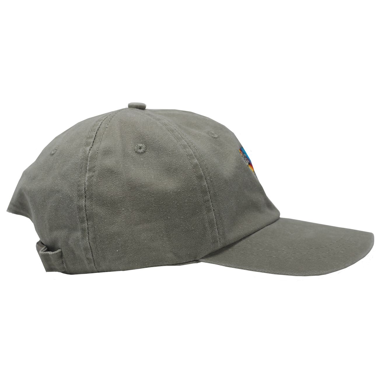 Rainbow Hat sold by Birds Aren’t Real product image thumbnail 2