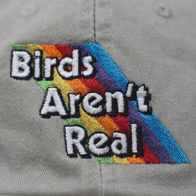 Rainbow Hat sold by Birds Aren’t Real product image thumbnail 3