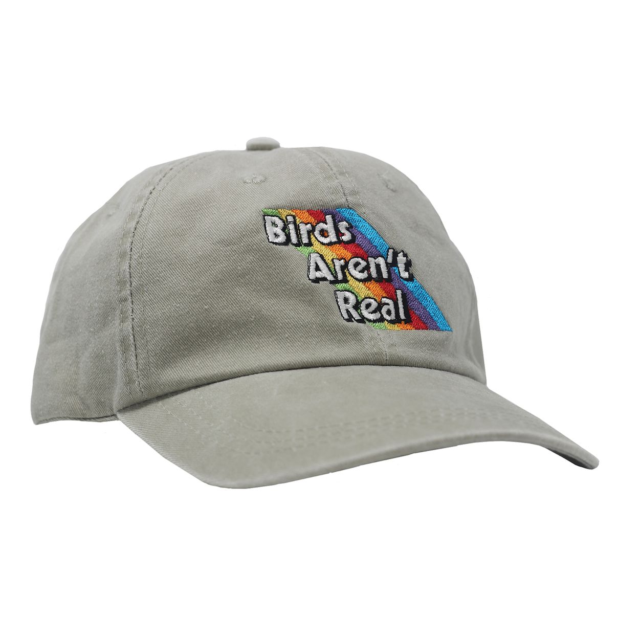 Rainbow Hat sold by Birds Aren’t Real