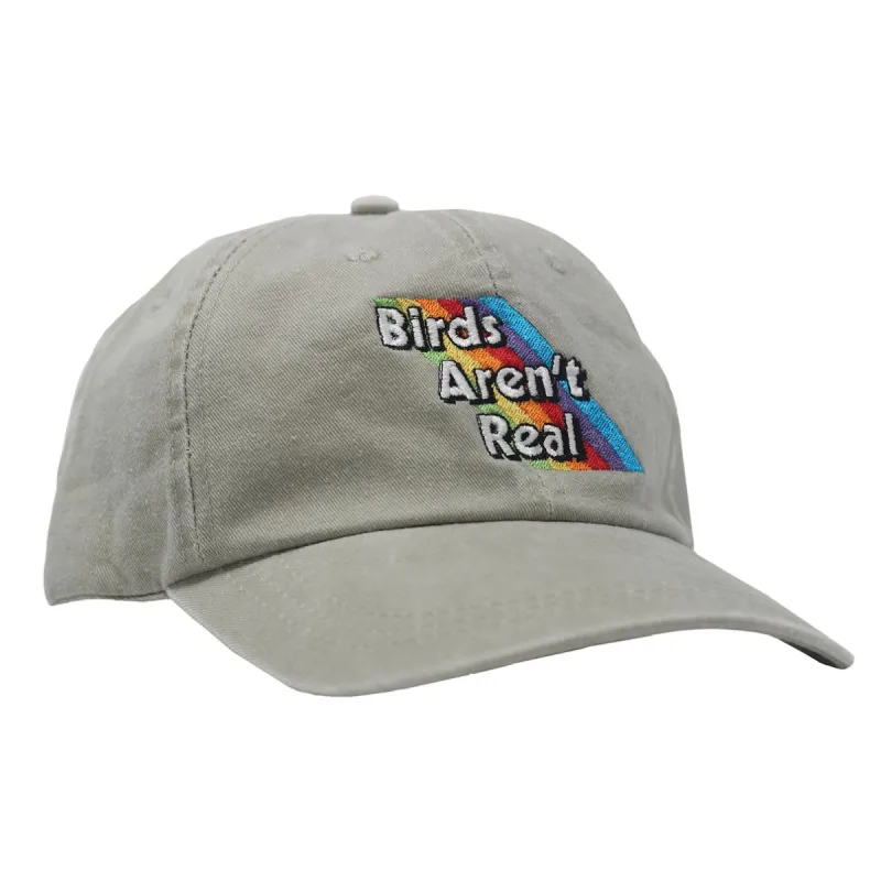 Rainbow Hat sold by Birds Aren’t Real