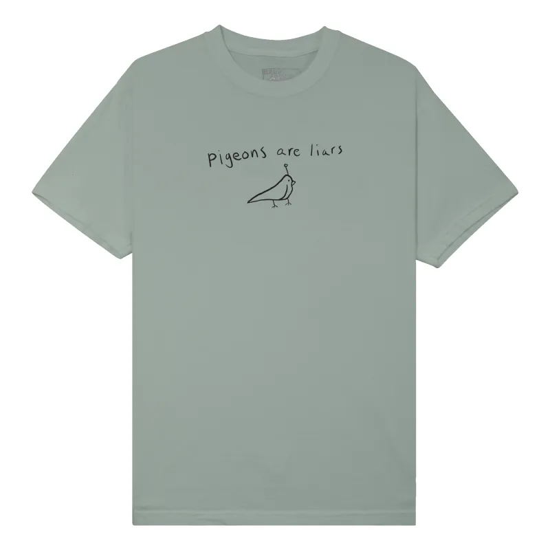 Pigeons are Liars Shirt sold by Birds Aren’t Real