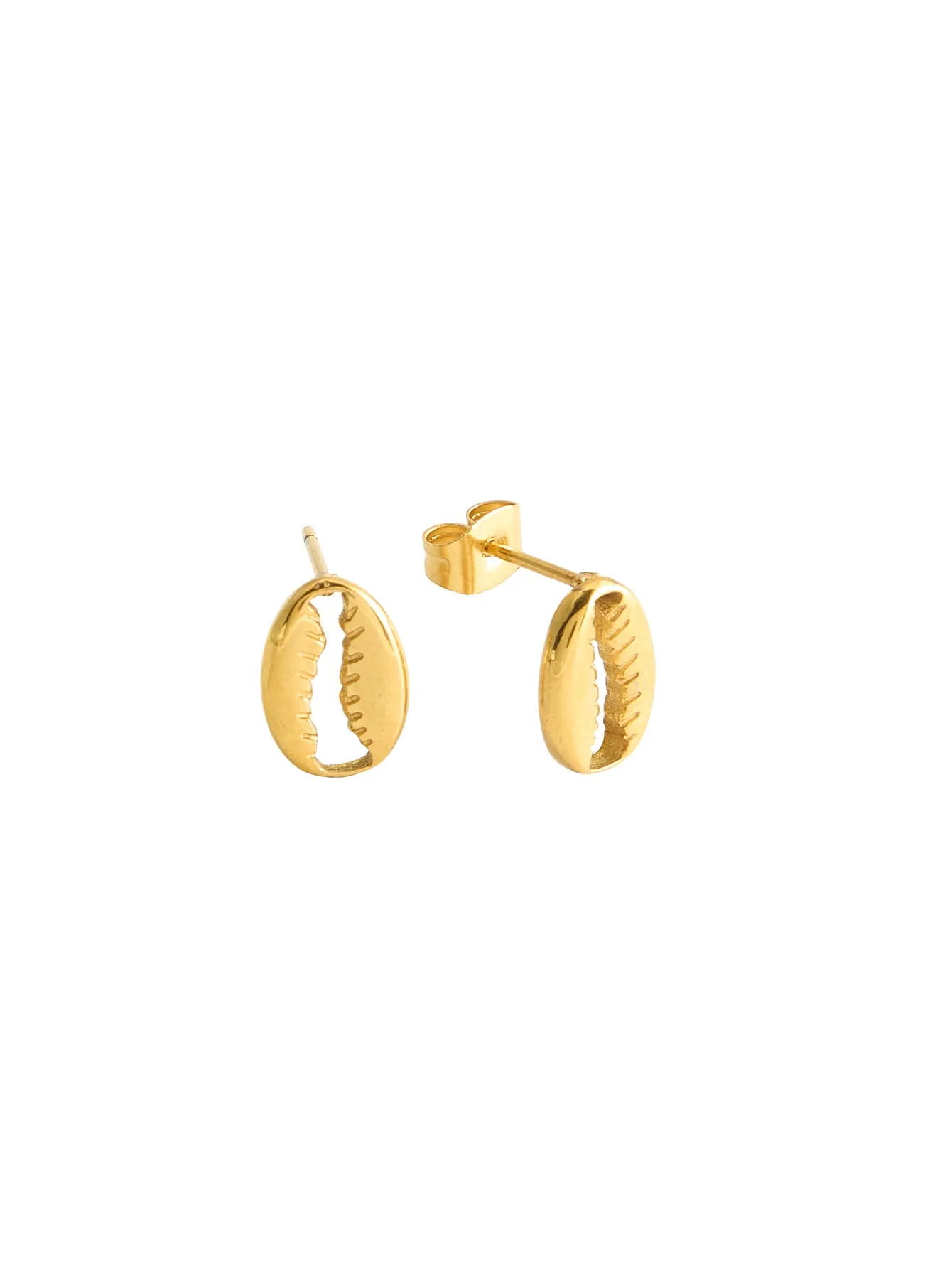 Cowrie Shell Studs sold by Salty Cali