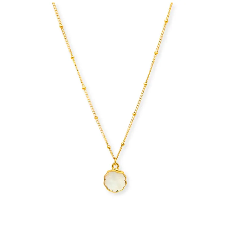 Cockle Mother Pearl made by Salty Cali