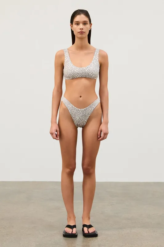 Micro Leopard Curve Brief sold by Zulu and Zephyr