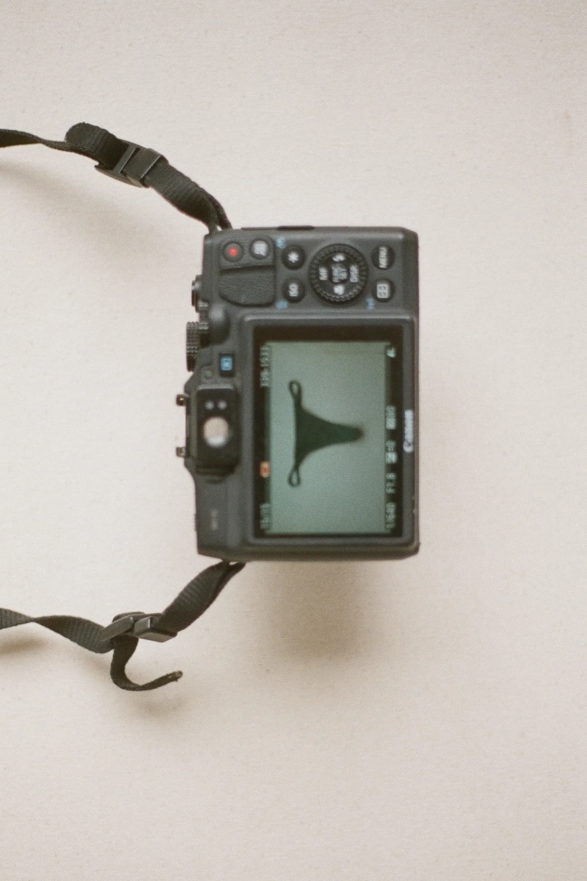 Signature Stripe String Thong Brief - Tallow Green sold by Zulu and Zephyr product image thumbnail 2