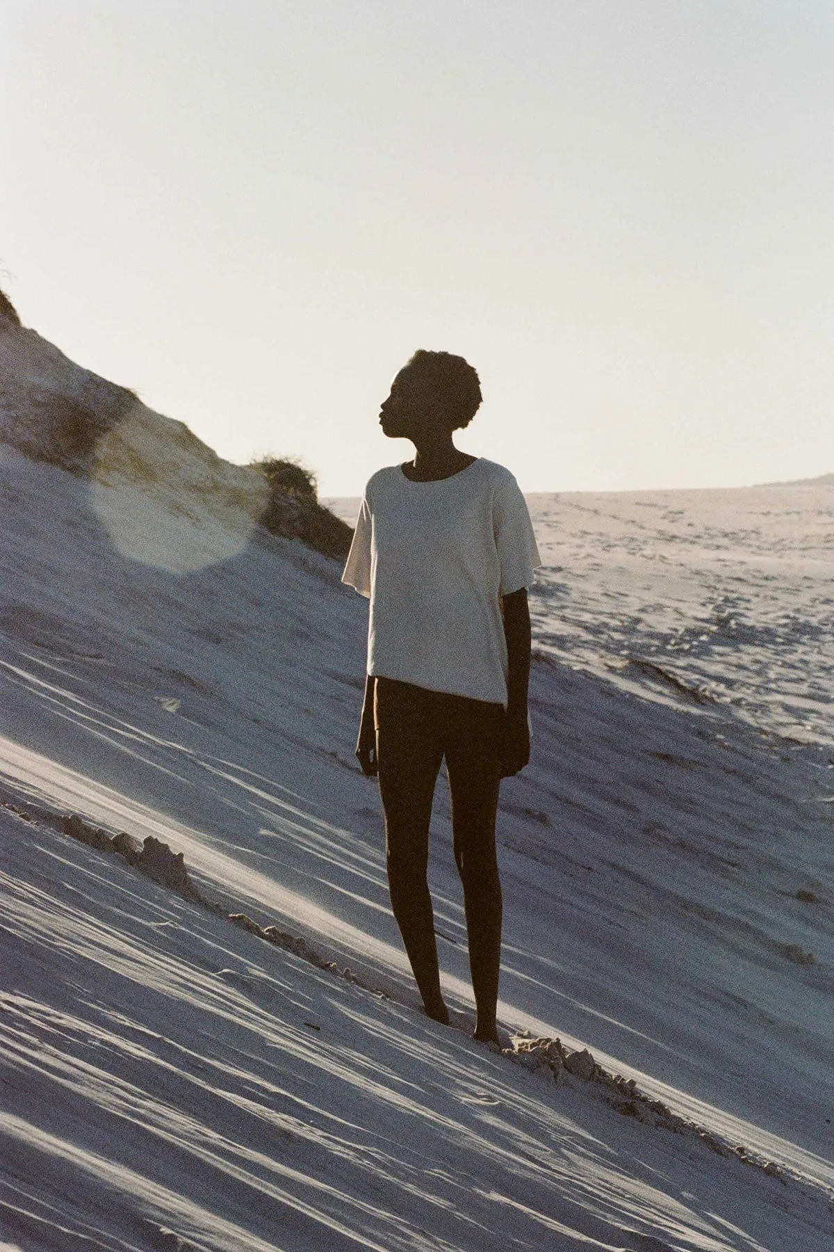 Signature Rib Knit Short - Chocolate sold by Zulu and Zephyr product image thumbnail 4