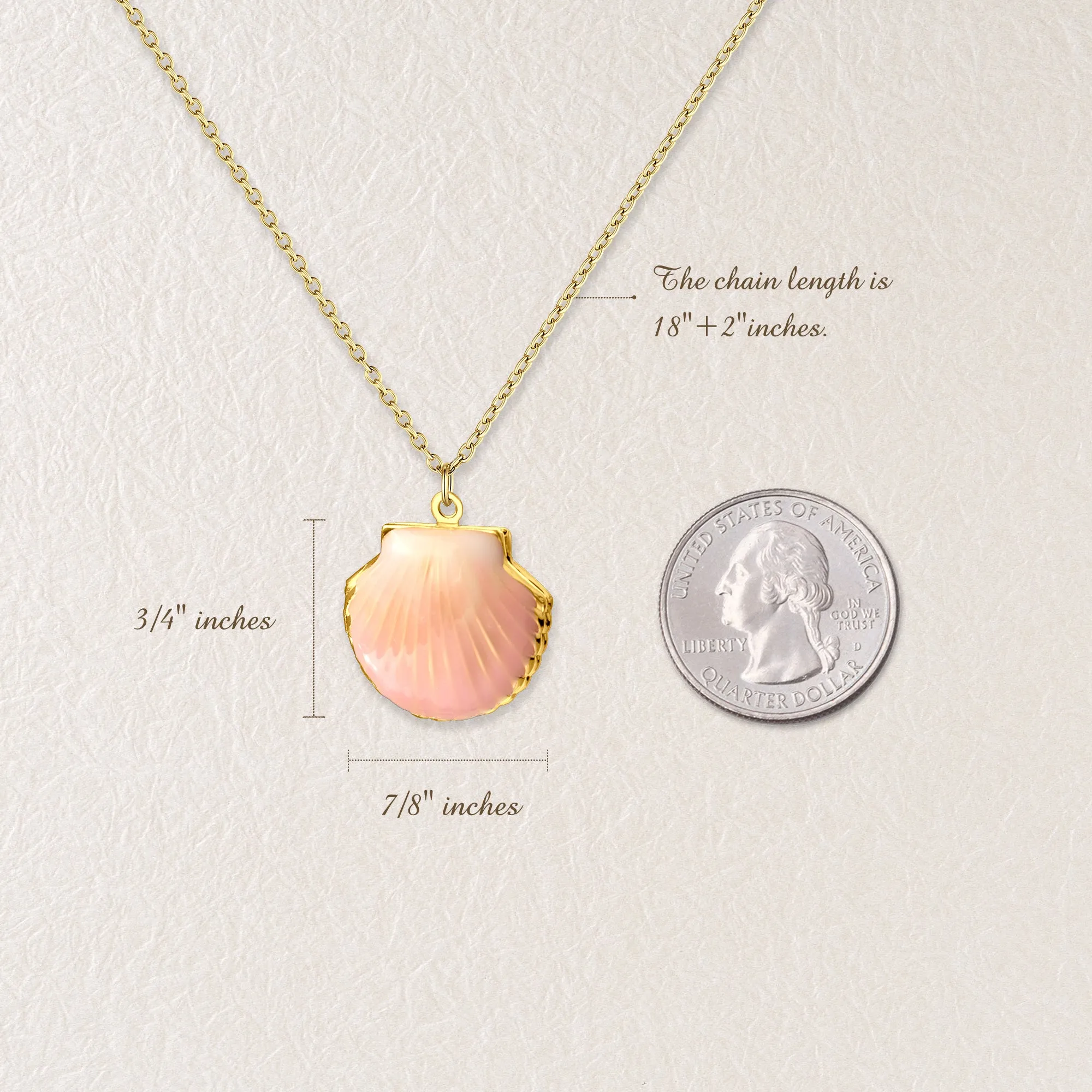 Custom Seashell Pet Photo Locket Necklace sold by Anavia product image thumbnail 4